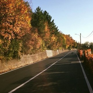 Il rettilineo della Sp4 oggetto della segnalazione Il rettilineo della Sp4 oggetto della segnalazione
