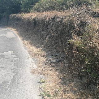 Asfalti nel finalese: la Provincia stanzia 365mila euro per la messa in sicurezza su Sp27 e Sp490