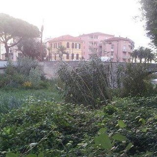 Immagine di repertorio