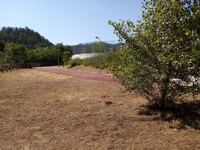 Potatura piante e sfalcio erba a Carcare, il sindaco De Vecchi: "Noleggiato un mezzo idoneo e lavorato in economia con un nostro operaio" Potatura piante e sfalcio erba a Carcare, il sindaco De Vecchi: "Noleggiato un mezzo idoneo e lavorato in economia con un nostro operaio"