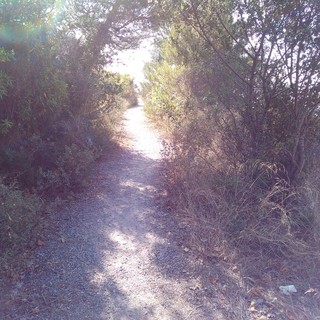 Nascerà una "Commissione sentieri" a Finale? Il parere dell'amministrazione (VIDEOINTERVISTA)