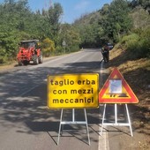 Sfalcio dell’erba lungo le strade provinciali: al via gli interventi su tutto il comprensorio Sfalcio dell’erba lungo le strade provinciali: al via gli interventi su tutto il comprensorio