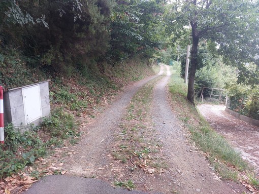 Tira fuori una granata durante una perquisizione in casa: episodio movimentato a Stella, un ferito Tira fuori una granata durante una perquisizione in casa: episodio movimentato a Stella, un ferito