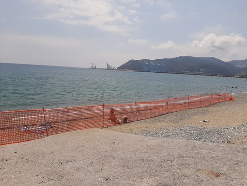 Savona, lavori notturni di ripascimento delle spiagge libere: le lamentele dei residenti Savona, lavori notturni di ripascimento delle spiagge libere: le lamentele dei residenti