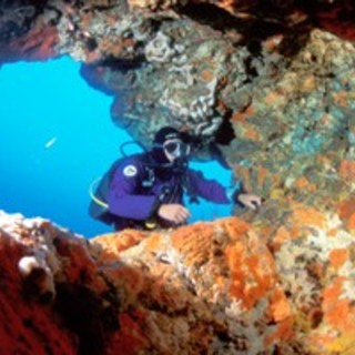 Alassio, al via il corso di Metodologie Scientifiche Subacquee