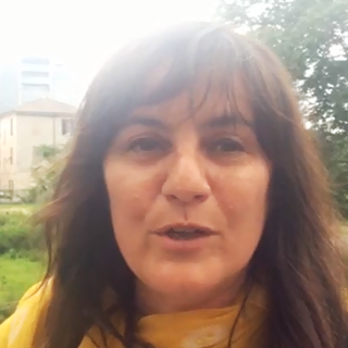 La Regione approva A.Li.Sa, Sonia Viale " Una governance alla sanità"