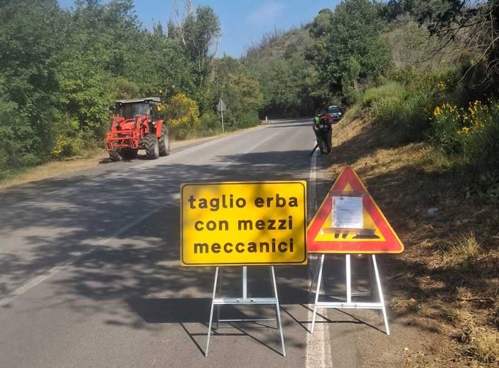 Sfalcio dell’erba lungo le strade provinciali: al via gli interventi su tutto il comprensorio Sfalcio dell’erba lungo le strade provinciali: al via gli interventi su tutto il comprensorio