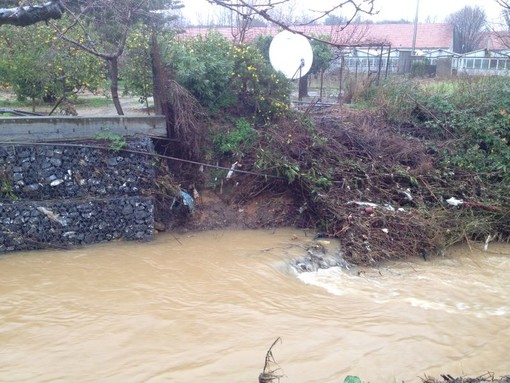 L'agricoltura del Ponente ligure in ginocchio a causa del maltempo: oggi Tavolo Verde in Regione L'agricoltura del Ponente ligure in ginocchio a causa del maltempo: oggi Tavolo Verde in Regione