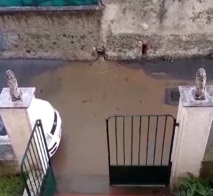 Sversamento fogna in via Piave ad Albisola, disperato un abitante: "Quando piove non riusciamo ad uscire di casa, non sappiamo più cosa fare" (FOTO e VIDEO) Sversamento fogna in via Piave ad Albisola, disperato un abitante: "Quando piove non riusciamo ad uscire di casa, non sappiamo più cosa fare" (FOTO e VIDEO)
