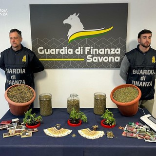 Arrestato pusher 47enne: in casa oltre 3 kg di marijuana e una coltivazione di piantine. Riforniva la piazza di Savona