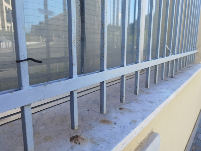 Cral del porto di Savona, striscione per i bambini di Gaza rimosso da un vandalo: "Poveretto"