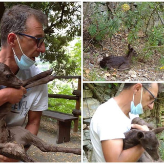 Foto tratte dalla pagina Facebook 'Grotte di Toirano'