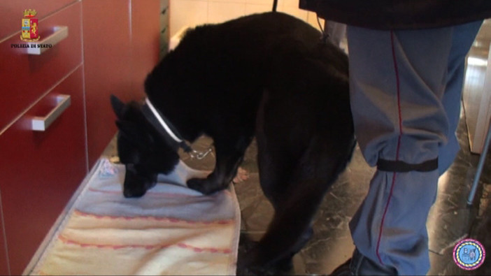 Operazione antidroga, arresti anche a Savona