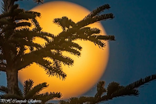 Foto di Roberto Canopale