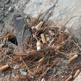 Giornata Nazionale del Mare: 100 portacenere tascabili in omaggio presso Assonautica Savona