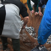 Pesca a strascico, la Liguria chiede un piano per il 2026: &quot;Serve assicurare continuità produttiva e stabilità al comparto&quot;