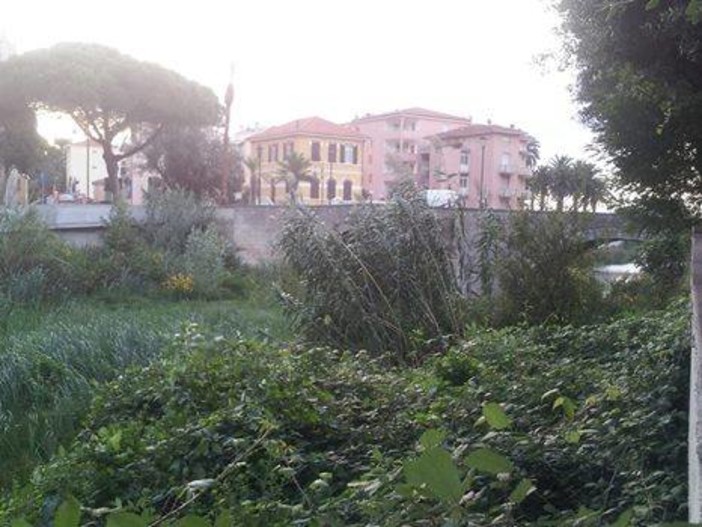 Immagine di repertorio Immagine di repertorio