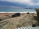 “Shark Meeting”, la spiaggia di Albisola ospita la manifestazione 4X4 (FOTO E VIDEO)