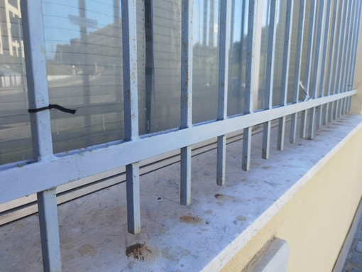 Cral del porto di Savona, striscione per i bambini di Gaza rimosso da un vandalo: "Poveretto"