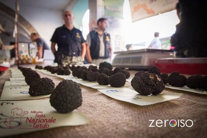 Millesimo scalda i motori per la festa del Tartufo, l'assessore Manconi: "Un connubio lungo 26 anni" Millesimo scalda i motori per la festa del Tartufo, l'assessore Manconi: "Un connubio lungo 26 anni"