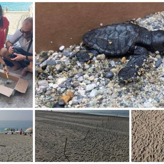 Alcune foto sono state tratte dalla pagina Facebook dell'associazione "Menkab: il respiro del mare"