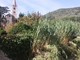 Borgio e Pietra si preparano al maltempo: al via pulizia torrente Bottassano Borgio e Pietra si preparano al maltempo: al via pulizia torrente Bottassano