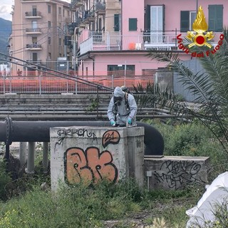 Vado, forte odore di gas ma è una fuoriuscita di una sostanza ignota: verifiche tecniche degli specialisti (FOTO)