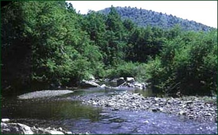 Firma del Protocollo di intesa tra le Province di Savona e Alessandria sul torrente Erro Firma del Protocollo di intesa tra le Province di Savona e Alessandria sul torrente Erro