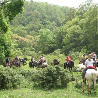 Due giorni di trekking a cavallo nell'entroterra savonese