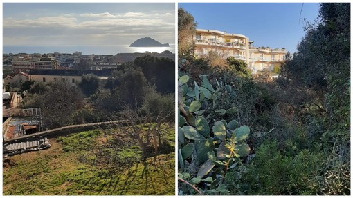 Albenga, terreni comunali pronti a diventare "laboratori" per l'Istituto Agrario Albenga, terreni comunali pronti a diventare "laboratori" per l'Istituto Agrario
