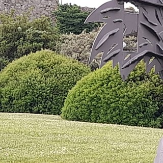 A Savona una tenda nel prato del Priamar, interviene la municipale e la fa rimuovere