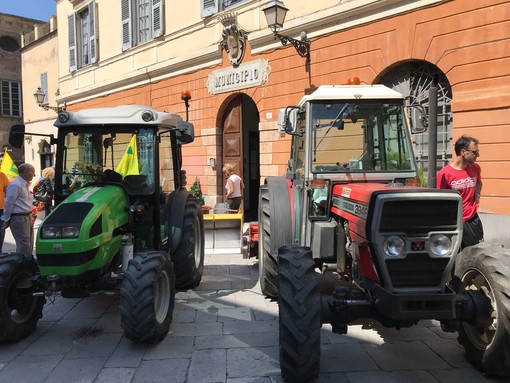 Mucche, asini e prodotti del territorio in un centro storico che si trasforma in occasione della Festa di Sant' Isidoro ad Albenga Mucche, asini e prodotti del territorio in un centro storico che si trasforma in occasione della Festa di Sant' Isidoro ad Albenga
