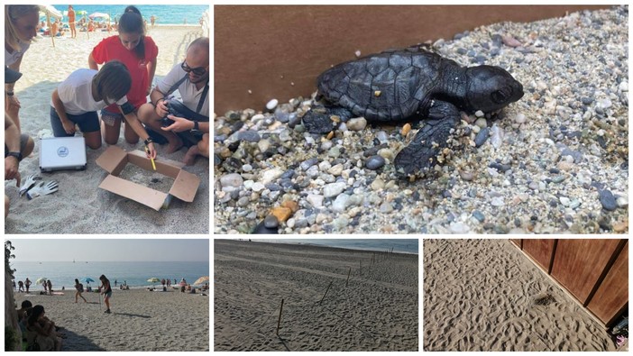 Alcune foto sono state tratte dalla pagina Facebook dell'associazione "Menkab: il respiro del mare" Alcune foto sono state tratte dalla pagina Facebook dell'associazione "Menkab: il respiro del mare"