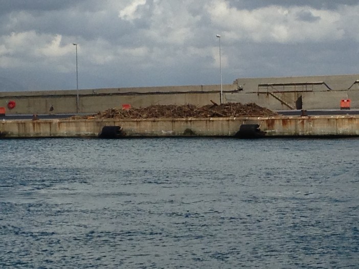 Sulle spiagge di Savona e Vado recuperati 50 tonnellate di residui dell'alluvione di Genova Sulle spiagge di Savona e Vado recuperati 50 tonnellate di residui dell'alluvione di Genova