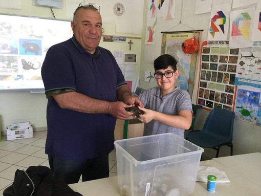 Albenga, la tartaruga Emys va a scuola