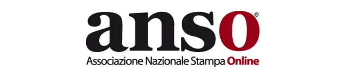 Il punto di ANSO sul DDL diffamazione Il punto di ANSO sul DDL diffamazione