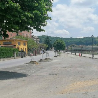 Taglio alberi in viale Vittorio Veneto, "Cairo in Comune" sulle barricate