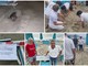 Uova “speciali” a Laigueglia: ai Bagni Diana nasceranno esemplari di Caretta Caretta Uova “speciali” a Laigueglia: ai Bagni Diana nasceranno esemplari di Caretta Caretta