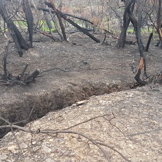 Cogoleto, Claudio Arena: "Il rogo dello scorso marzo ha reso visibili antiche trincee risalenti al conflitto mondiale" Cogoleto, Claudio Arena: "Il rogo dello scorso marzo ha reso visibili antiche trincee risalenti al conflitto mondiale"