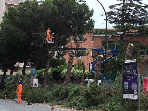 Savona, riapre il cantiere in corso Tardy e Benech: via alla seconda tranche dal palazzetto dello sport