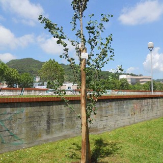 Savona, donazioni a favore del verde pubblico savonese