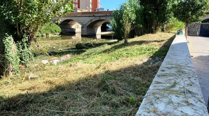 Pietra, ordinanza del sindaco: si potrà dare cibo ai colombi solo nel greto del torrente Maremola