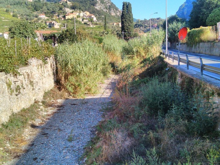 immagine di repertorio