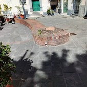 Savona, tagliato il tiglio di piazza Vacciuoli, sarà sostituito con un'altra pianta Savona, tagliato il tiglio di piazza Vacciuoli, sarà sostituito con un'altra pianta