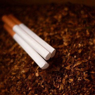 Contrabbando di tabacco, la Liguria come esempio virtuoso: solo l'1% delle sigarette è illegale (Video)
