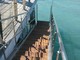 Alassio, scalandroni e trampolino in dirittura d'arrivo sul Pontile Bestoso