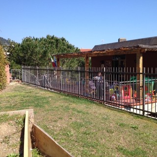 13 aprile a Laigueglia "Tree for Free": arriva l'acero rosso donato dal FAI