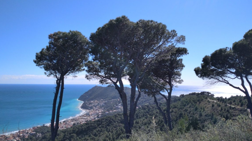 Da Colla Micheri a Poggio Brea, un trekking sulle tracce dell'esploratore norvegese Thor Heyerdahl