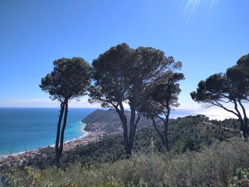 Andora-Colla Micheri-Poggio Brea: trekking sulle tracce dell'esploratore norvegese Thor Heyerdahl