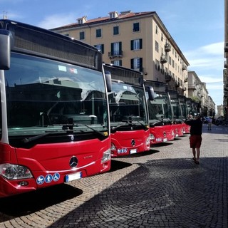 Autobus a due piani londinesi, il presidente di TPL Linea risponde a Forzano: &quot;Investimento poco lungimirante&quot;